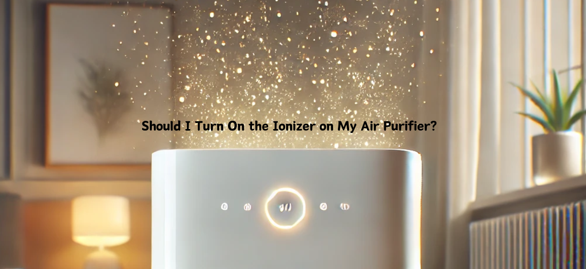 Should I Turn On the Ionizer on My Air Purifier? AlorairScrubber